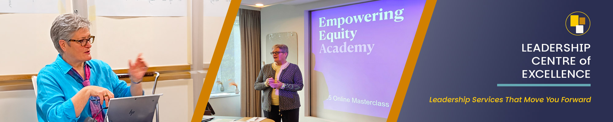 Leadership Centre of Excellence - In-Demand Programme