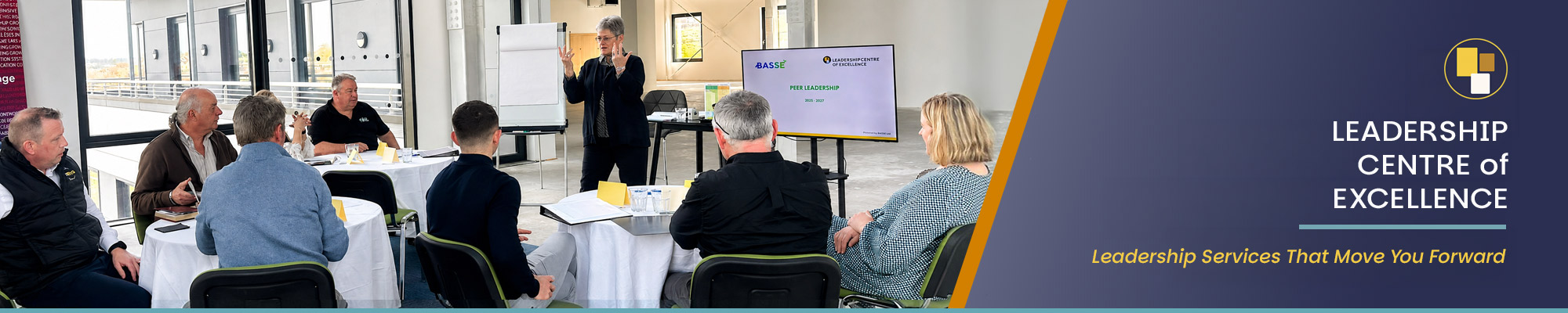 leadership Centre of Excellence - Leadership Mentoring