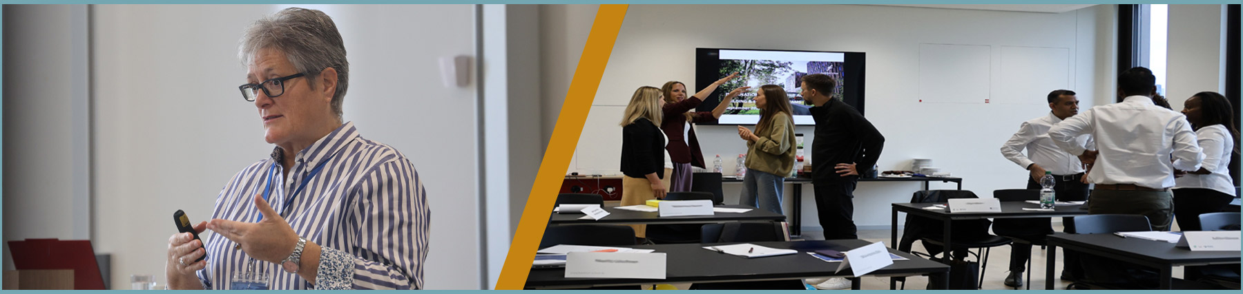 Leadership Centre of Excellence - Signature Programmes