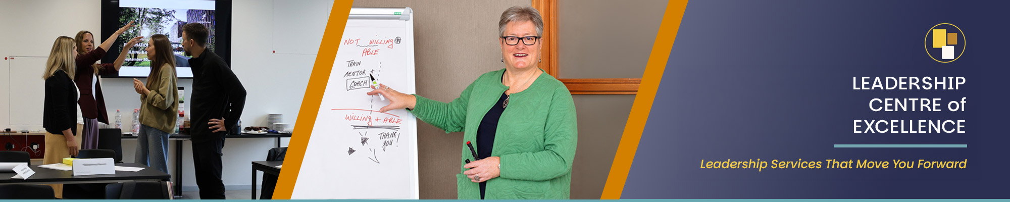 Leadership Centre of Excellence - Training and Workshops